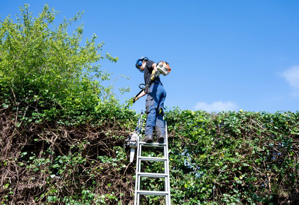 Hedge Trimming sutton Coldfield